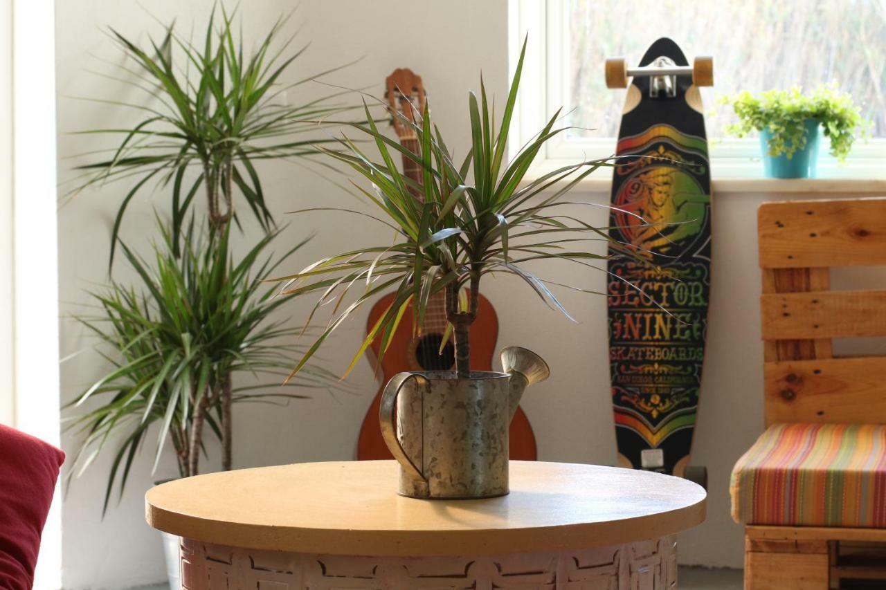 Blacksheep Sagres Guesthouse & Surf מראה חיצוני תמונה
